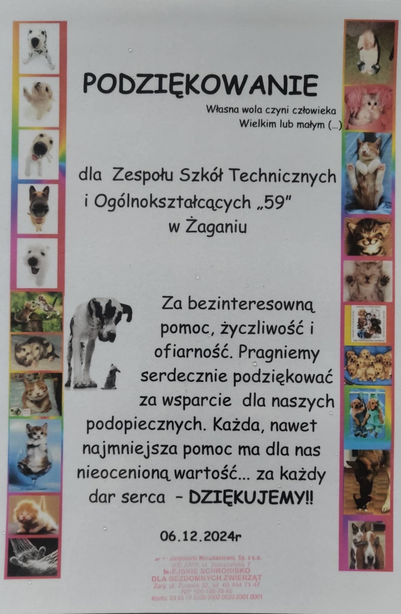 Pomagamy zwierzakom ze schroniska w Żarach - zdjęcie 1