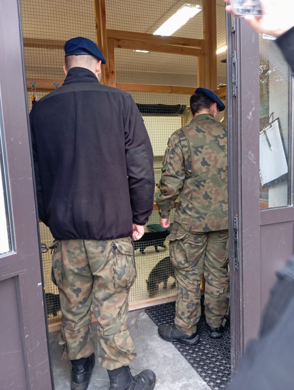 Koci Azyl - wspierany przez uczniów ZSTiO - zdjęcie 2