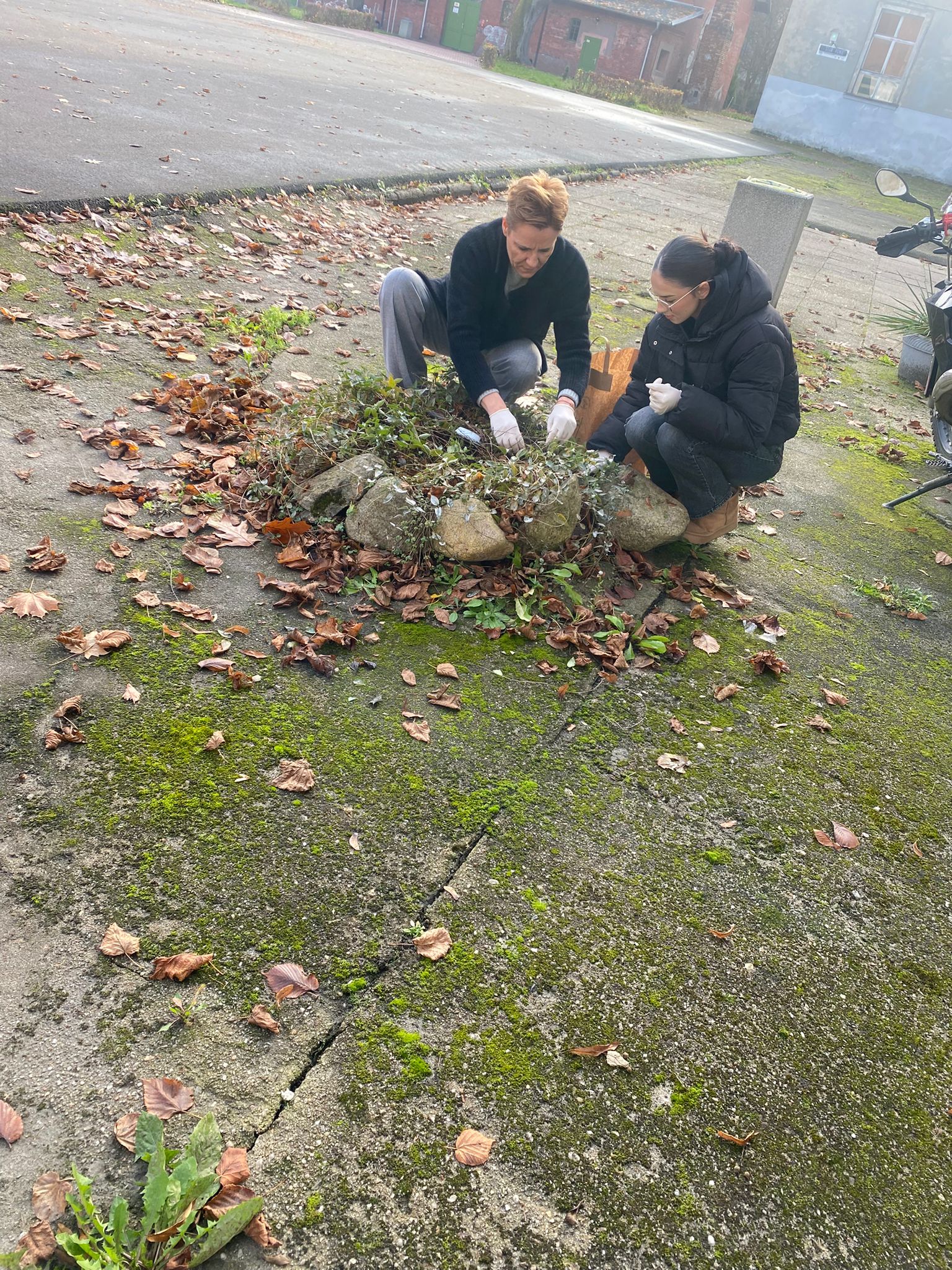 "Pola Nadziei" 2025 - zdjęcie 4