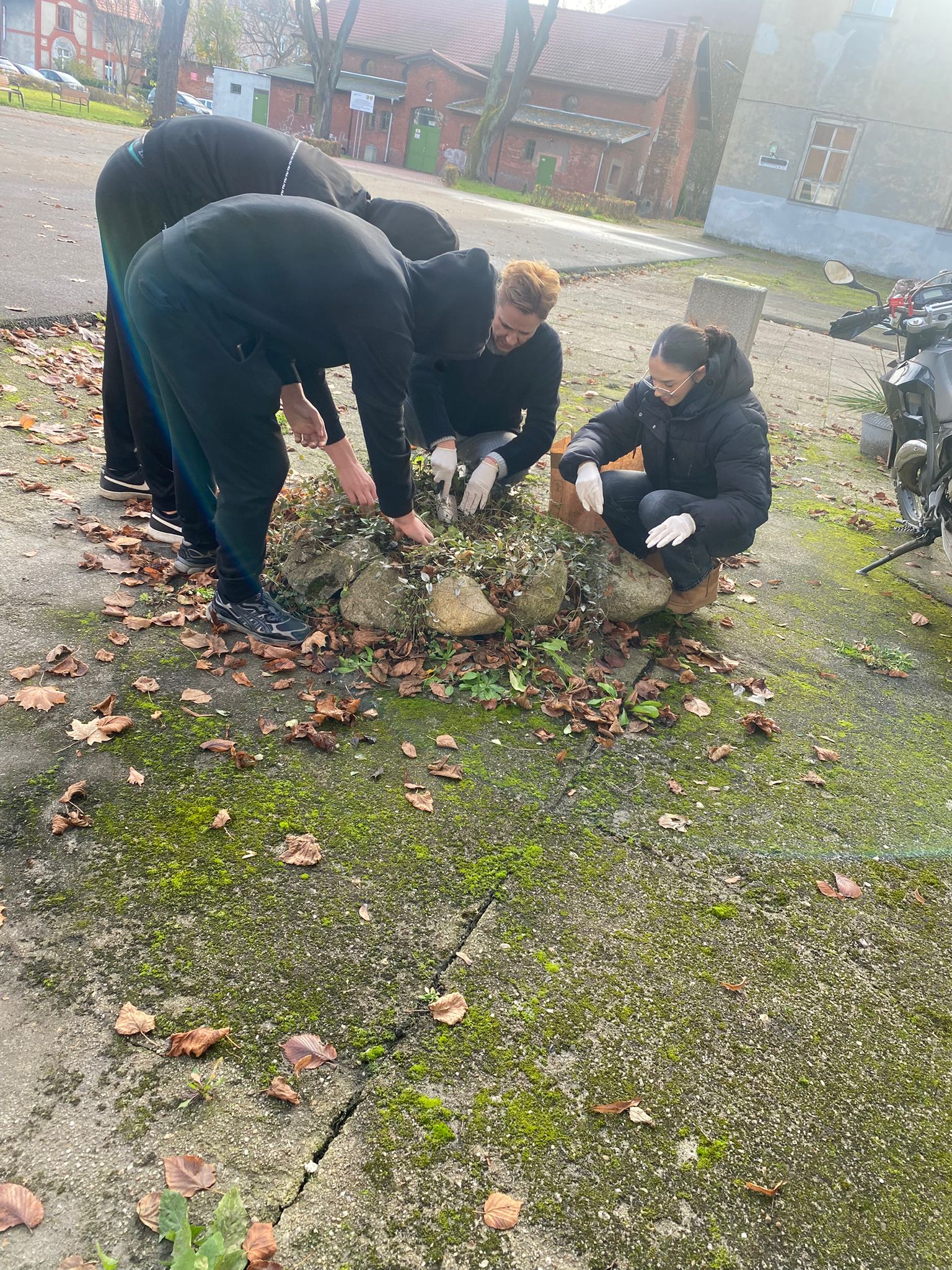 "Pola Nadziei" 2025 - zdjęcie 5