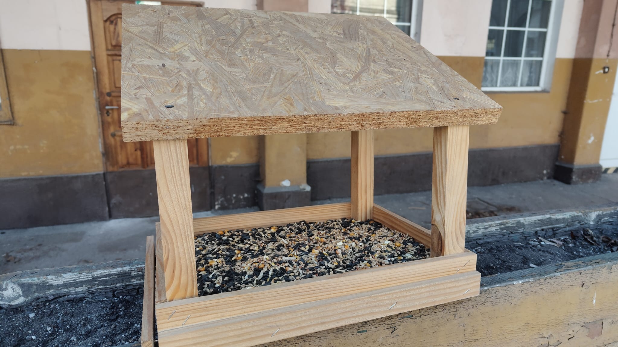 Zimowa akcja dokarmiania ptaków - zdjęcie 1