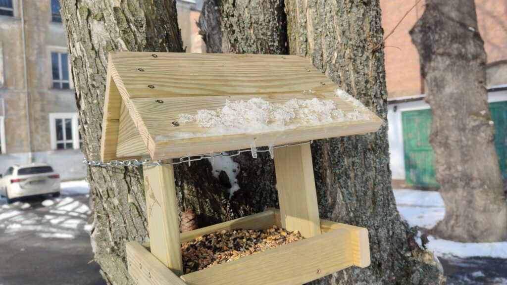 Zimowa akcja dokarmiania ptaków - zdjęcie 6
