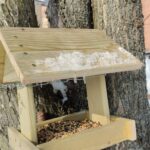 Zimowa akcja dokarmiania ptaków