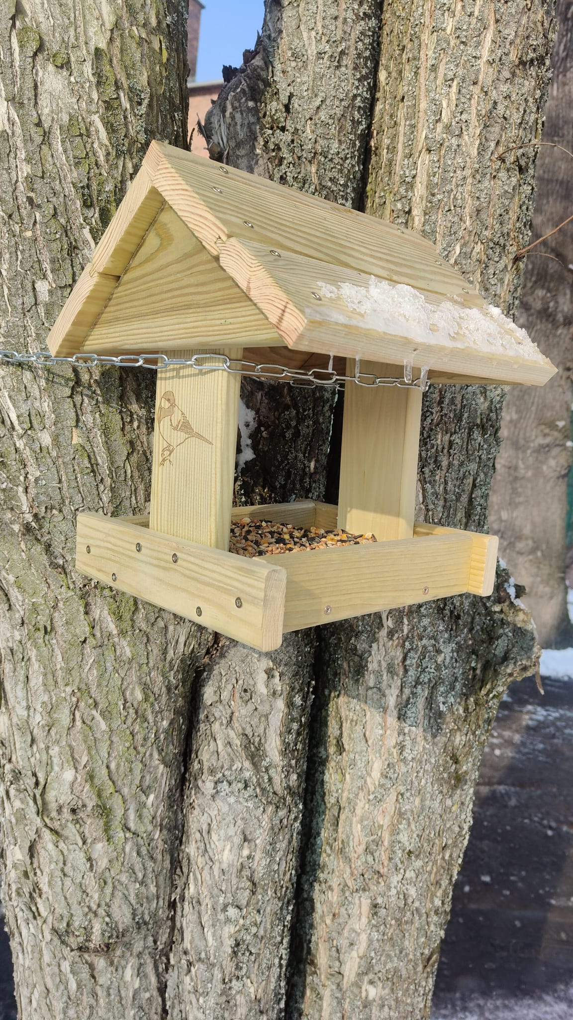 Zimowa akcja dokarmiania ptaków - zdjęcie 2