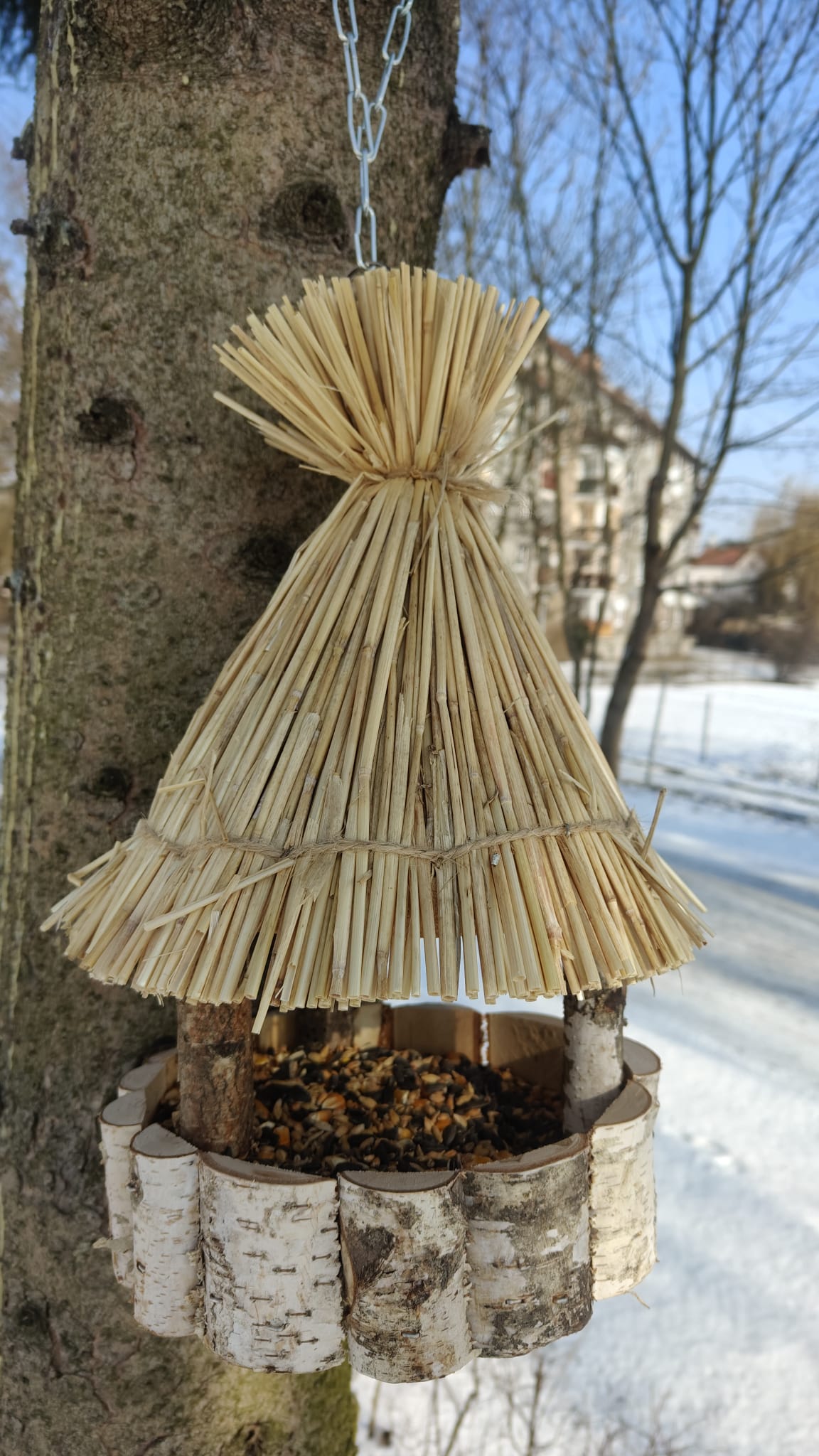 Zimowa akcja dokarmiania ptaków - zdjęcie 3