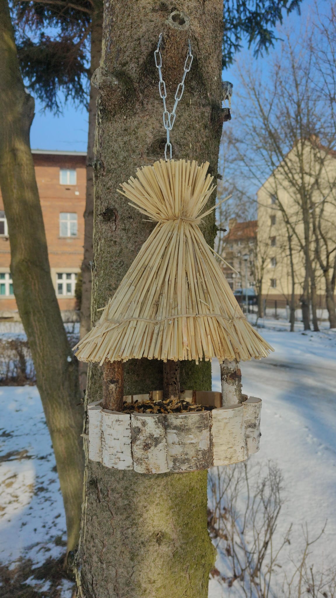 Zimowa akcja dokarmiania ptaków - zdjęcie 4