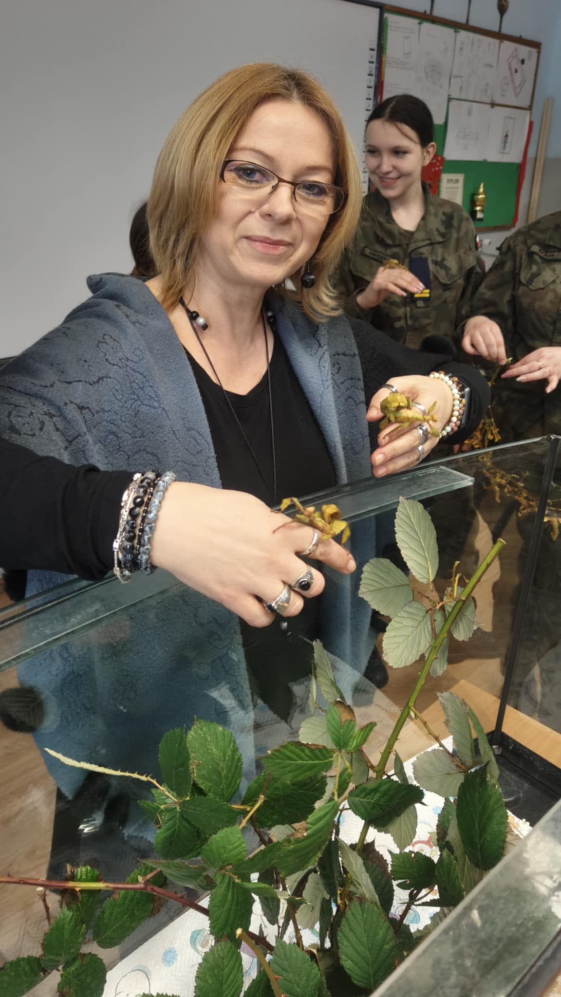 Patyczaki wróciły - zdjęcie 1