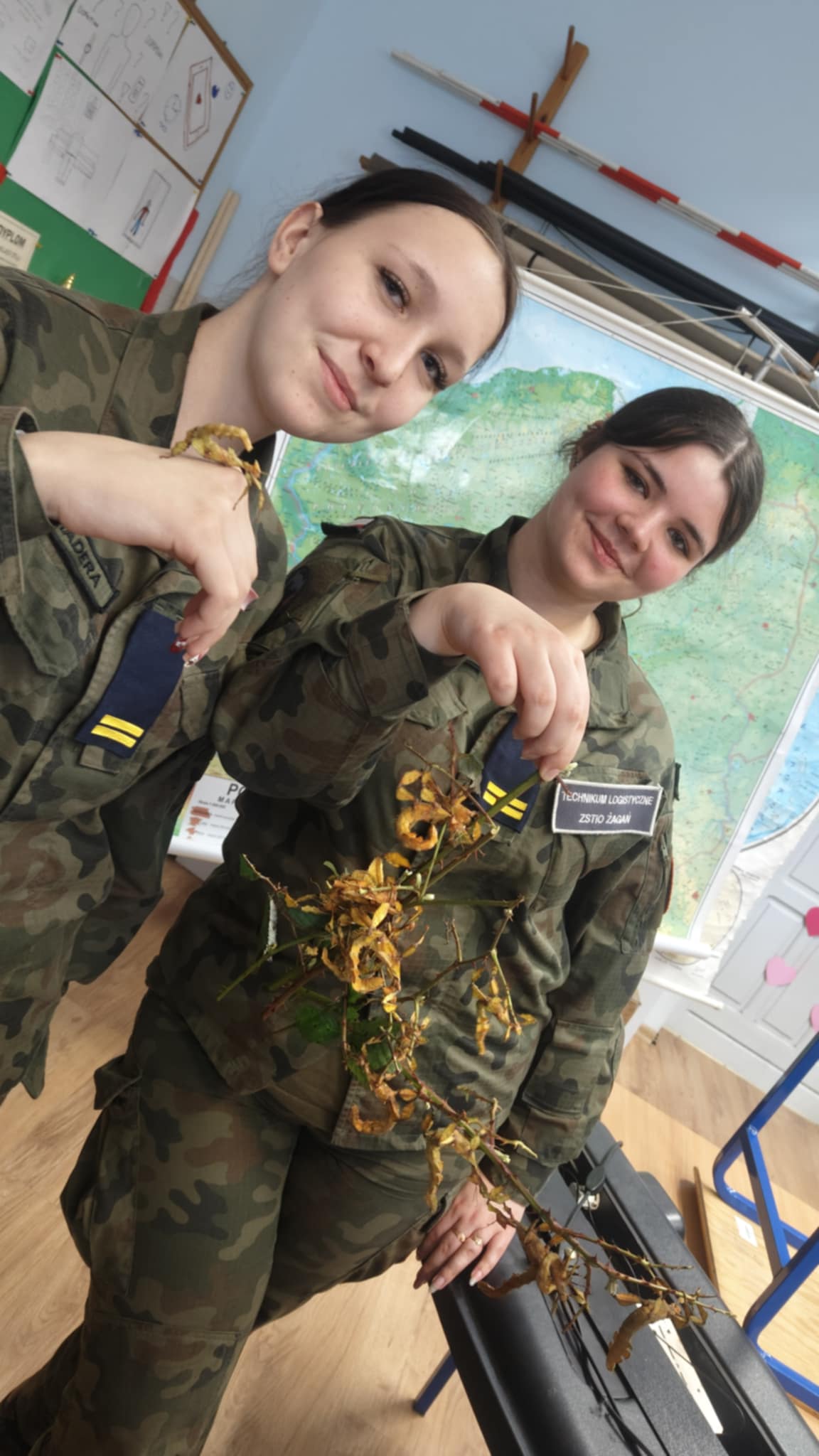 Patyczaki wróciły - zdjęcie 5