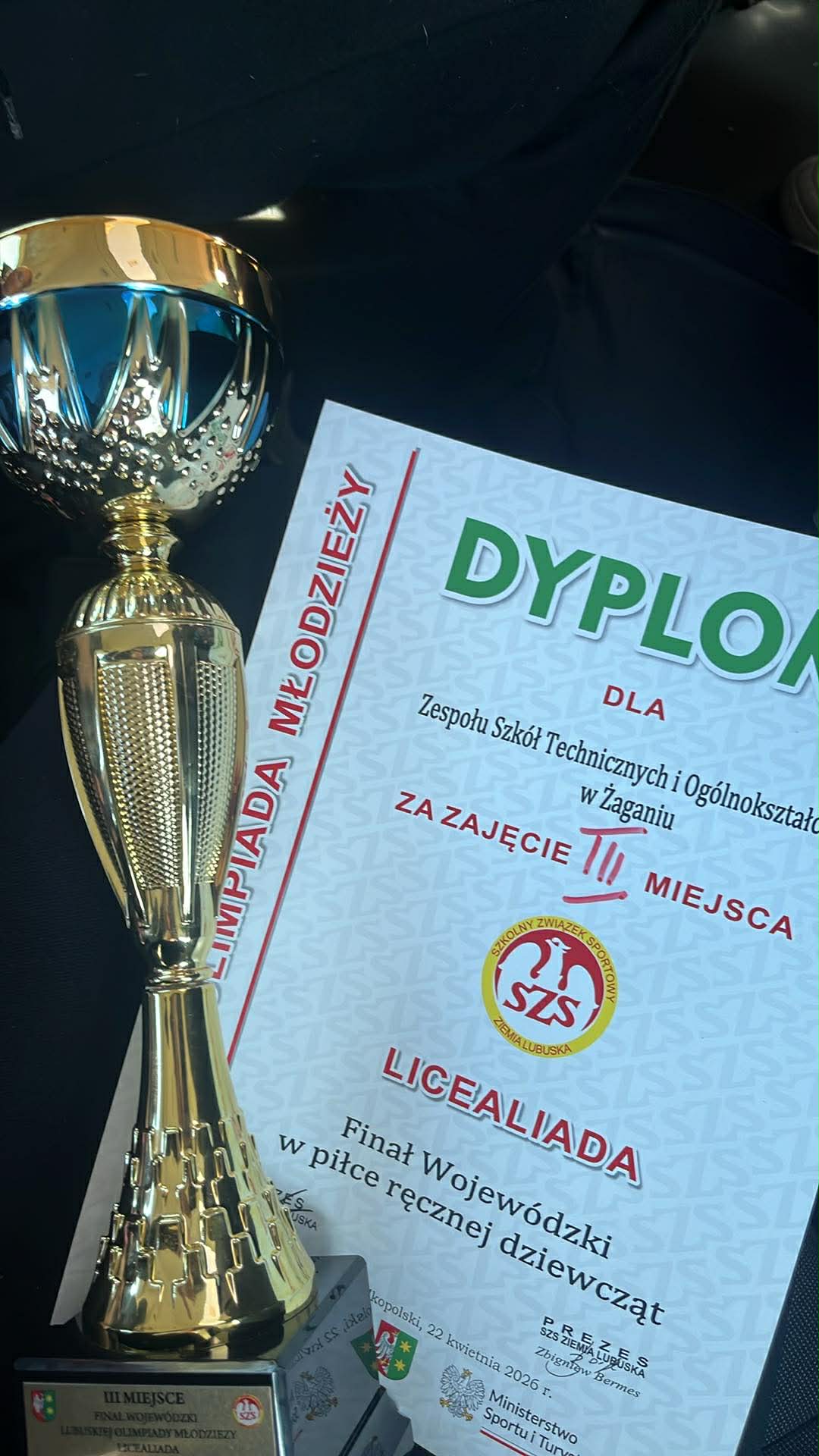 Brązowy medal w finale mistrzostw województwa lubuskiego w piłce ręczne - zdjęcie 3